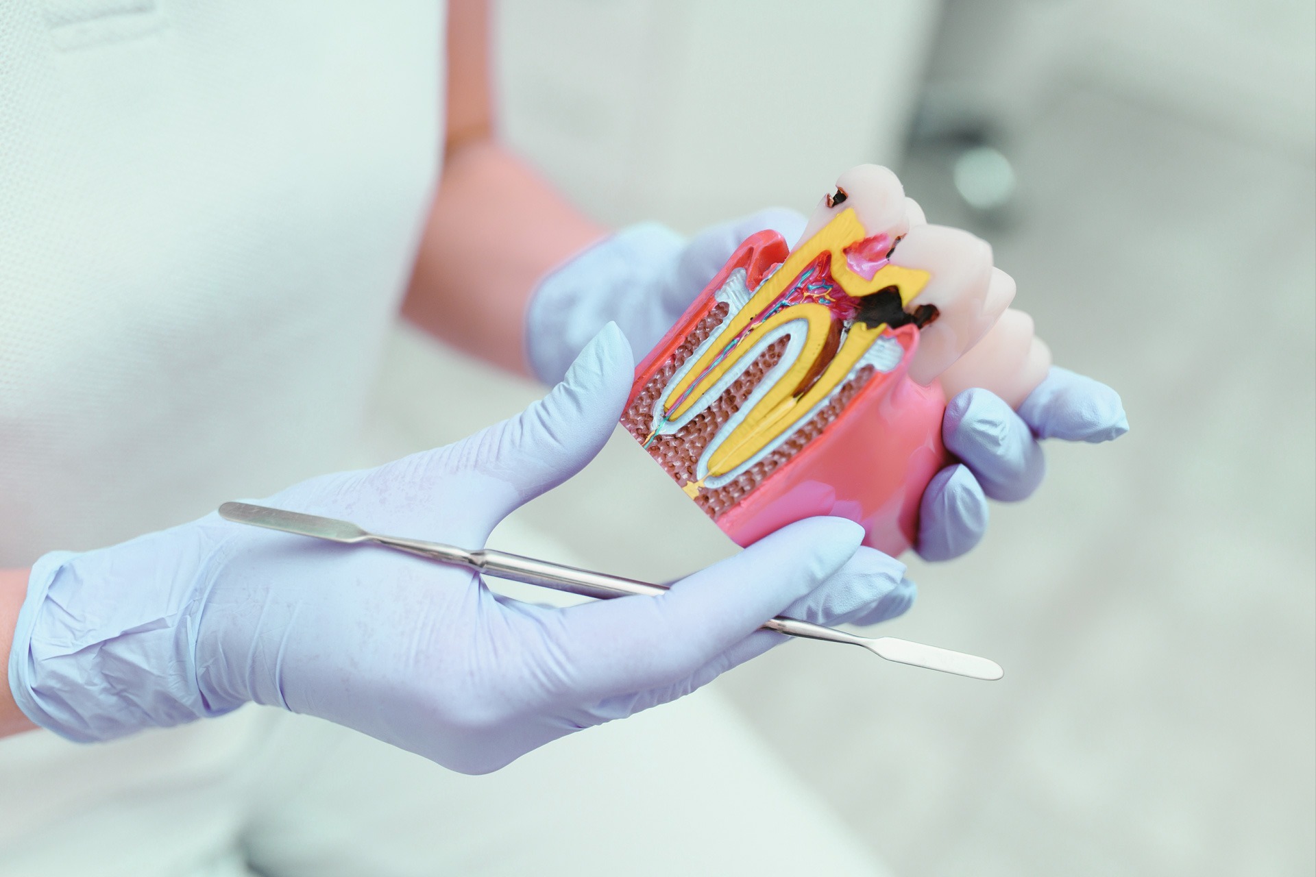 Endodontics